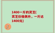 1400一斤的灵芝(灵芝价格飙升，一斤达1400元)