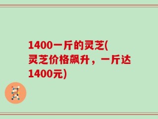 1400一斤的灵芝(灵芝价格飙升，一斤达1400元)