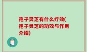 孢子灵芝有什么疗效(孢子灵芝的功效与作用介绍)