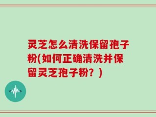 灵芝怎么清洗保留孢子粉(如何正确清洗并保留灵芝孢子粉？)