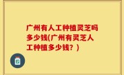 广州有人工种植灵芝吗多少钱(广州有灵芝人工种植多少钱？)