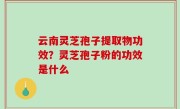 云南灵芝孢子提取物功效？灵芝孢子粉的功效是什么