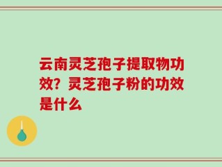 云南灵芝孢子提取物功效？灵芝孢子粉的功效是什么