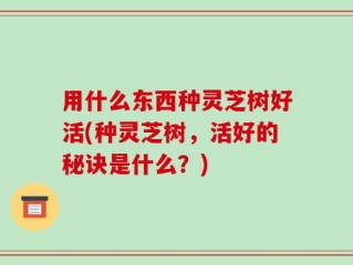 用什么东西种灵芝树好活(种灵芝树，活好的秘诀是什么？)