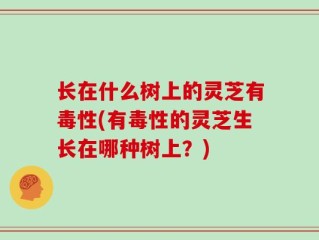 长在什么树上的灵芝有毒性(有毒性的灵芝生长在哪种树上？)