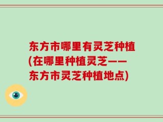 东方市哪里有灵芝种植(在哪里种植灵芝——东方市灵芝种植地点)