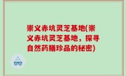 崇义赤坑灵芝基地(崇义赤坑灵芝基地，探寻自然药膳珍品的秘密)
