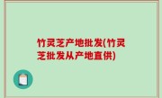 竹灵芝产地批发(竹灵芝批发从产地直供)
