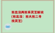 熊出没两熊采灵芝解说(熊出没：熊大熊二寻找灵芝)