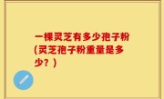 一棵灵芝有多少孢子粉(灵芝孢子粉重量是多少？)