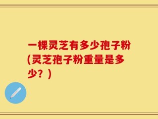一棵灵芝有多少孢子粉(灵芝孢子粉重量是多少？)