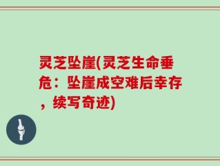 灵芝坠崖(灵芝生命垂危：坠崖成空难后幸存，续写奇迹)