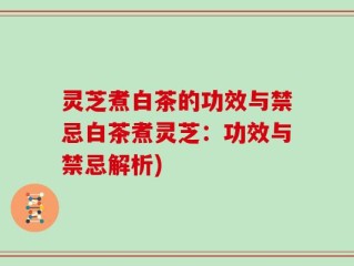 灵芝煮白茶的功效与禁忌白茶煮灵芝：功效与禁忌解析)