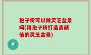 孢子粉可以做灵芝盆景吗(用孢子粉打造高颜值的灵芝盆景)