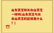 山东灵芝和长白山灵芝一样吗(山东灵芝与长白山灵芝的区别是什么？)
