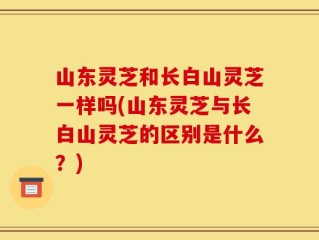 山东灵芝和长白山灵芝一样吗(山东灵芝与长白山灵芝的区别是什么？)