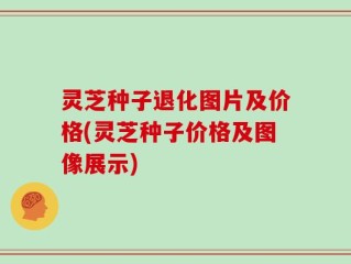 灵芝种子退化图片及价格(灵芝种子价格及图像展示)