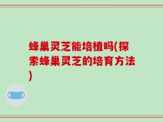 蜂巢灵芝能培植吗(探索蜂巢灵芝的培育方法)