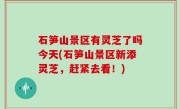 石笋山景区有灵芝了吗今天(石笋山景区新添灵芝，赶紧去看！)