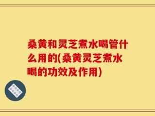 桑黄和灵芝煮水喝管什么用的(桑黄灵芝煮水喝的功效及作用)