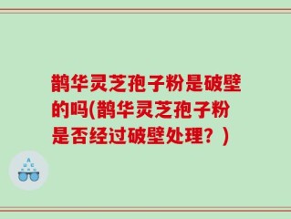 鹊华灵芝孢子粉是破壁的吗(鹊华灵芝孢子粉是否经过破壁处理？)