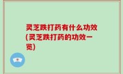 灵芝跌打药有什么功效(灵芝跌打药的功效一览)