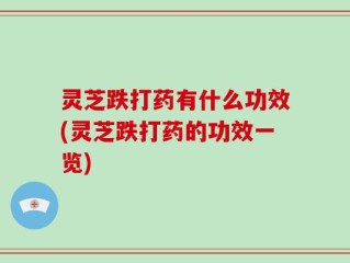 灵芝跌打药有什么功效(灵芝跌打药的功效一览)
