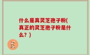 什么是真灵芝孢子粉(真正的灵芝孢子粉是什么？)