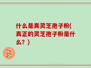 什么是真灵芝孢子粉(真正的灵芝孢子粉是什么？)
