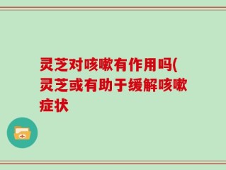 灵芝对咳嗽有作用吗(灵芝或有助于缓解咳嗽症状