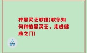 种黑灵芝教程(教你如何种植黑灵芝，走进健康之门)