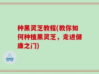 种黑灵芝教程(教你如何种植黑灵芝，走进健康之门)