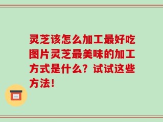 灵芝该怎么加工最好吃图片灵芝最美味的加工方式是什么？试试这些方法！