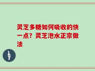灵芝多糖如何吸收的快一点？灵芝泡水正宗做法