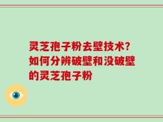 灵芝孢子粉去壁技术？如何分辨破壁和没破壁的灵芝孢子粉