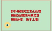 野外采到灵芝怎么处理视频(处理野外采灵芝视频分享，快手上看！