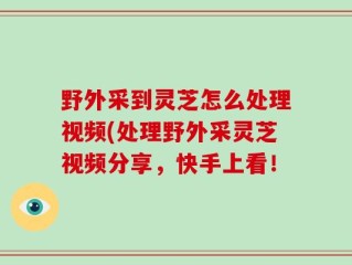 野外采到灵芝怎么处理视频(处理野外采灵芝视频分享，快手上看！