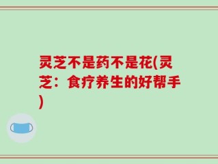 灵芝不是药不是花(灵芝：食疗养生的好帮手)