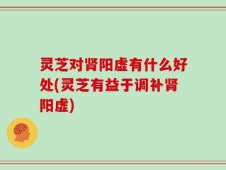 灵芝对肾阳虚有什么好处(灵芝有益于调补肾阳虚)