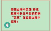妄想山海中灵芝(神话故事中长生不老的药物“灵芝”在妄想山海中探寻)