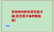 怎样种仿野生灵芝孢子油(灵芝孢子油种植指南)