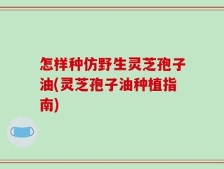 怎样种仿野生灵芝孢子油(灵芝孢子油种植指南)
