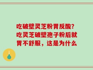 吃破壁灵芝粉胃反酸？吃灵芝破壁孢子粉后就胃不舒服，这是为什么