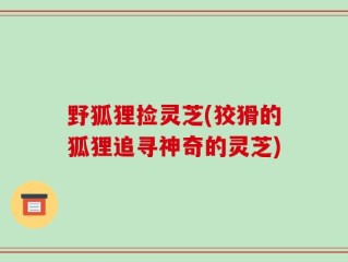 野狐狸捡灵芝(狡猾的狐狸追寻神奇的灵芝)