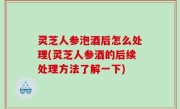 灵芝人参泡酒后怎么处理(灵芝人参酒的后续处理方法了解一下)