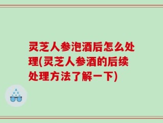 灵芝人参泡酒后怎么处理(灵芝人参酒的后续处理方法了解一下)