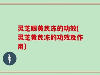 灵芝跟黄芪冻的功效(灵芝黄芪冻的功效及作用)