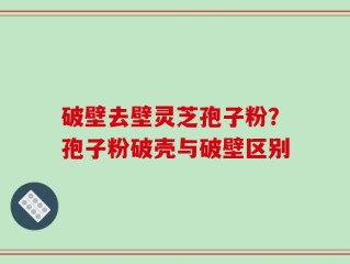 破壁去壁灵芝孢子粉？孢子粉破壳与破壁区别