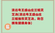 清远粤王盛山庄兰姐灵芝汤(清远粤王盛山庄兰姐推荐灵芝汤，助您拥有健康身体)