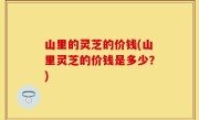 山里的灵芝的价钱(山里灵芝的价钱是多少？)